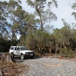 Bushfire Hazard Management Assessment for site in Cradle Mountain, Tasmania 2012