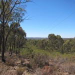 Bushfire Risk Assessment and Management Statement for Re-zoning in Mount Alexander, Victoria 2013