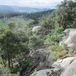 Bushland Reserves and Cardinia Creek Habitat Value Assessments for Cardinia Shire Council, Victoria 2011-12