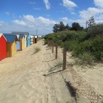 Fauna Survey in foreshore and bushland reserves for Bayside City Council, Victoria 2012