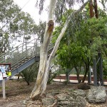 Flora and Fauna Assessment for Alphington Station, Victoria 2013