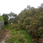 Lexton Reserve Management Plan, Victoria 2013