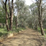 Roadside Management Plan for Nillumbik Shire Council, Victoria 2010-12